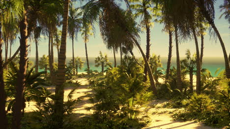 palm beach in tropical idyllic paradise island