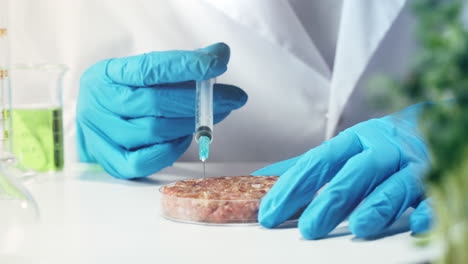 Lab-grown meat being tested in a lab