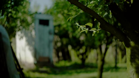 Outdoor-toilet-in-the-backyard-with-trees,-village-lifestyle