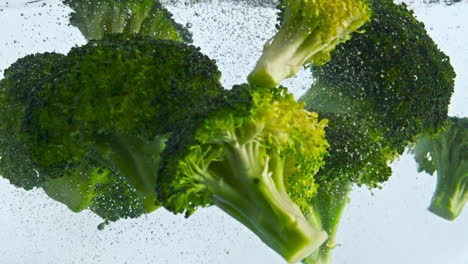 closeup green broccoli water on white background. fresh pieces cabbage floating.