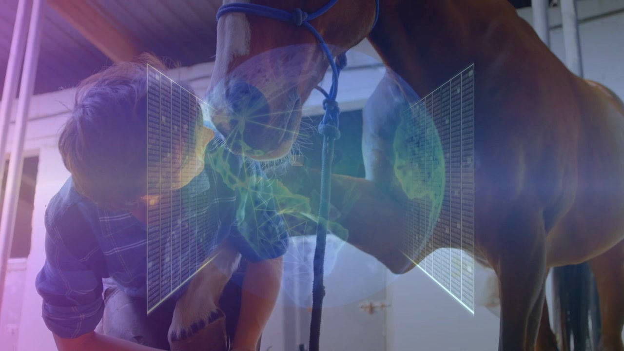 Maniscalco che lavora sullo zoccolo di un cavallo con sovrapposizione di tecnologia digitale
