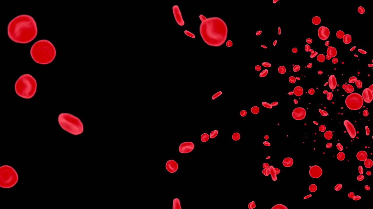 3d red blood cells floating down a vein inside a human body motion graphic 3d dna blood cell cell