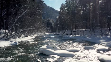 Beautiful-snow-scene-forest-in-winter.-Flying-over-of-river-and-pine-trees-covered-with-snow.