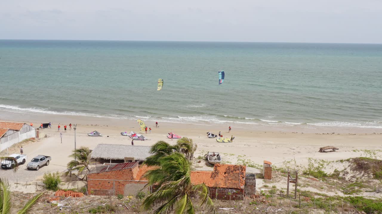 palmeras tropicales en un resort de playa en la isla de guajiru, brasil