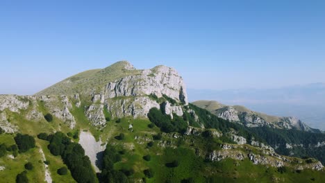 aerial of rocky mountain peak and a small forest at high altitude