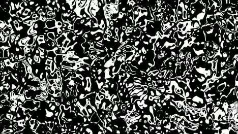 liquified texture black - white animation motion