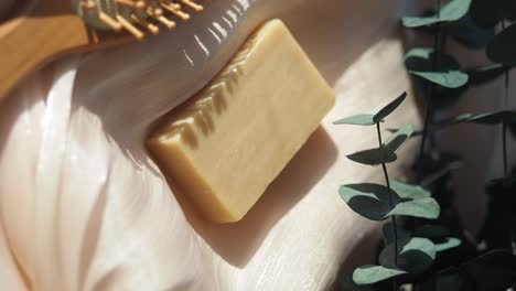 natural bar soap with eucalyptus and hairbrush