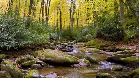 Creek-Zwischen-Boone-Und-Blowing-Rock-NC,-North-Carolina-Im-Herbst,-Goshen-Creek