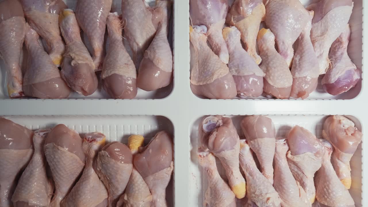 linha de processamento de frango na granja-1