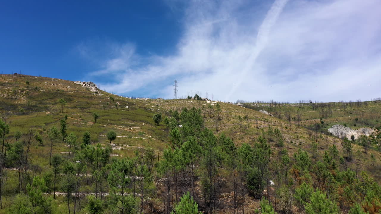 산에 있는 전력선 탑. 드론 샷