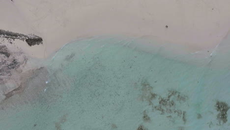 amazing birds view of nakupenda island, sandbank in ocean, white sand, boats, touquise sea during low tide at sunny summer day in zanzibar. top view of sand spit, clear water.tanzania