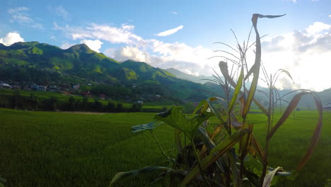 Sol-Rotativo-Timelapse-Que-Se-Abre-Paso-En-Los-Campos-De-Arroz-De-Sapa-Vietnam