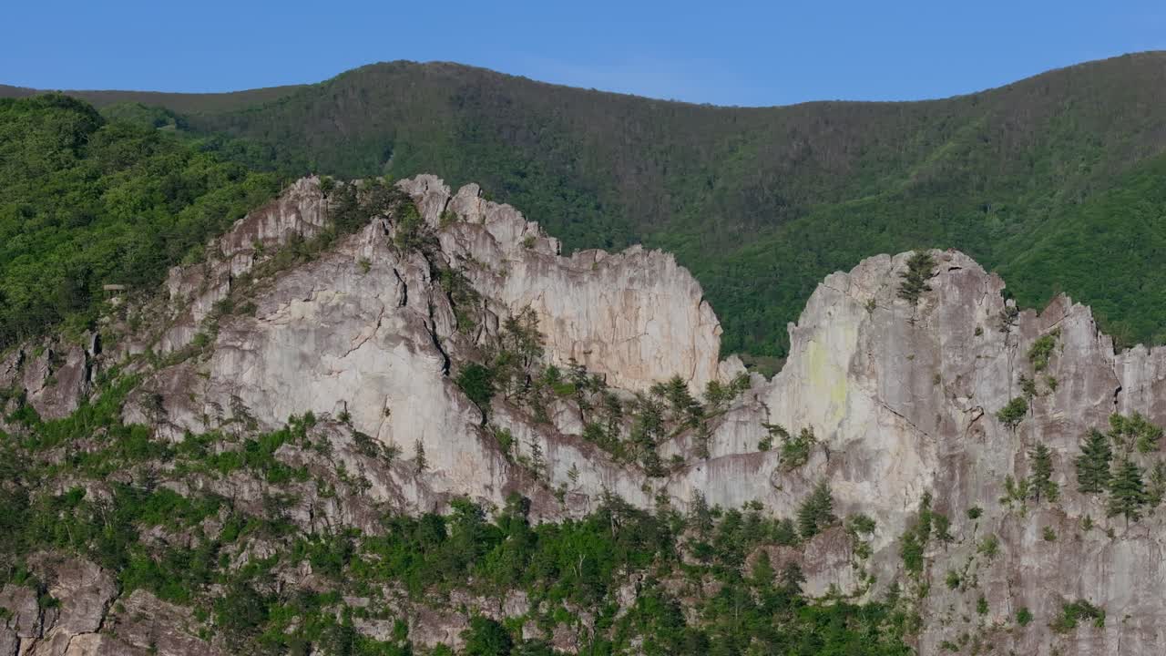 Teleobiettivo aereo in salita di pareti rocciose a strapiombo e crinali di Seneca Rocks che si ergono dalla foresta, West Virginia, USA