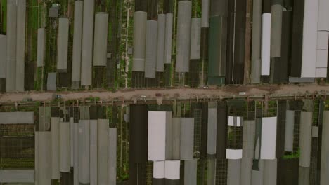 top-down aerial view of hanoi plant nursery industry with plastic sheds