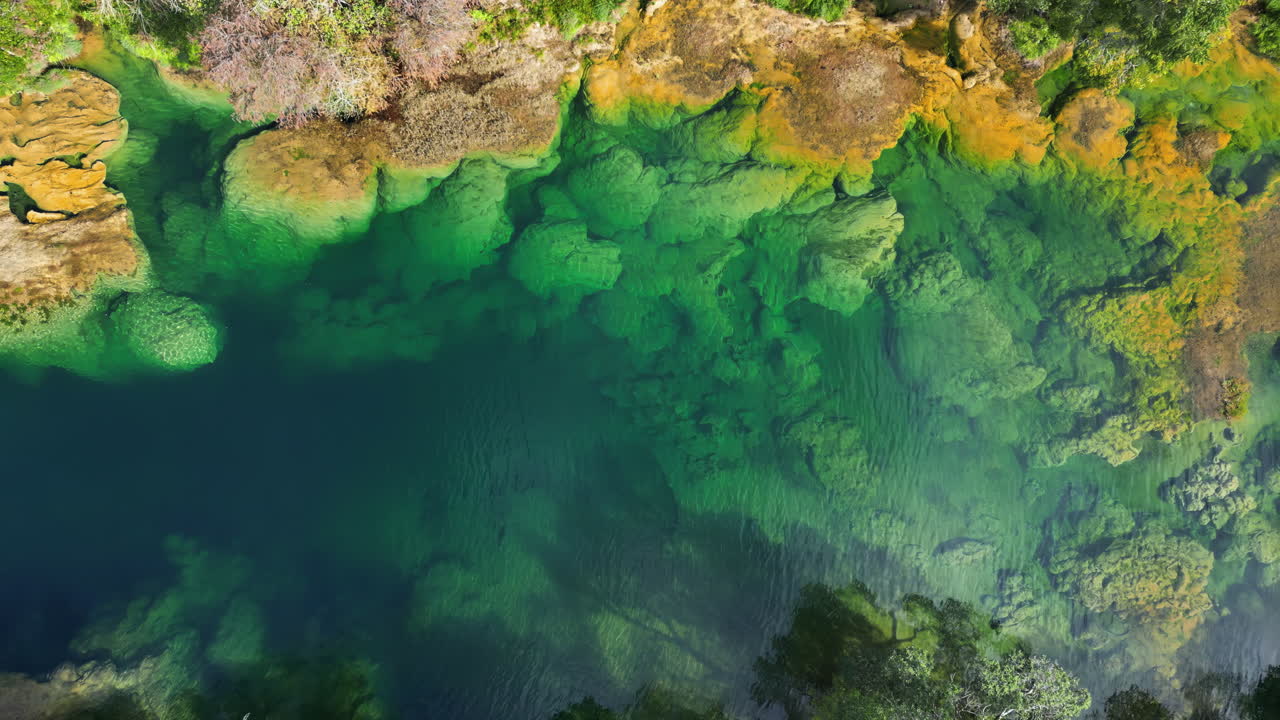 Aerial drone view of a river with emerald-green water cutting through a dense tropical forest