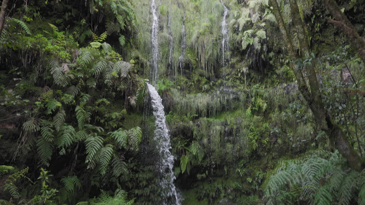 Waterfall on PR9, Levada do Caldeirao Verde Trail, Madeira Island, Portugal