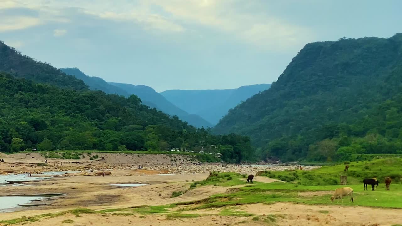 Valle del fiume Bichanakandi con ampio letto di fiume sabbioso, mucche al pascolo in Bangladesh, lussureggianti Colline Khasi verdi e paesaggio rurale sereno