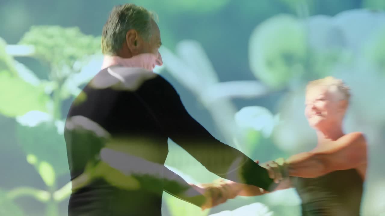 Animação de luz cintilante sobre um casal idoso sorridente a dançar sobre plantas