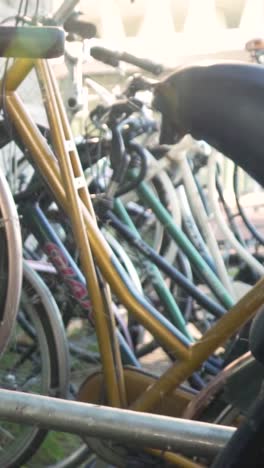 parked bicycles