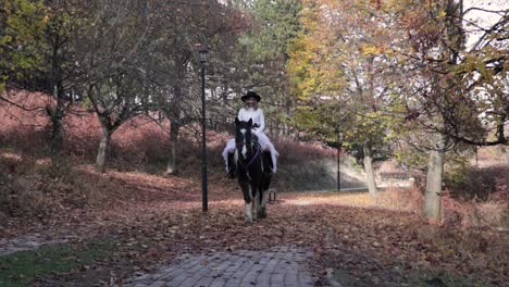 Frau-Auf-Einem-Pferd-In-Einem-Park