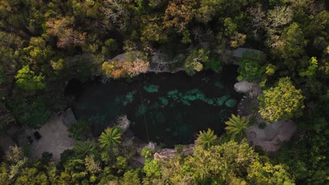 toma aérea cinematográfica de arriba hacia abajo de un dron volando hacia arriba del cenote turquesa espejado casa tortuga, tulum