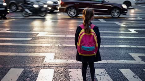 child waiting to cross the street