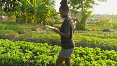 black female african engineer farmer working with a tablet laptop checking the plantation farm in africa , food crisis concept