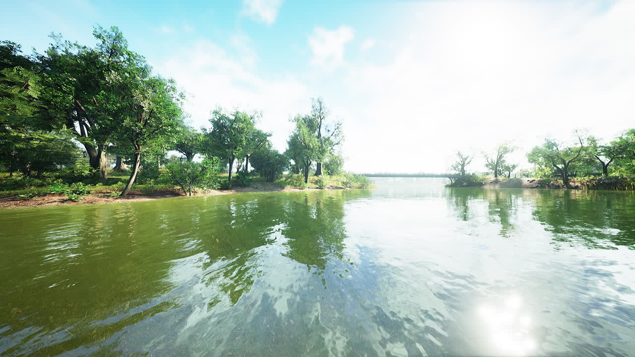 푸른 잔디 필드와 공공 공원에서 아름 다운 아침 빛