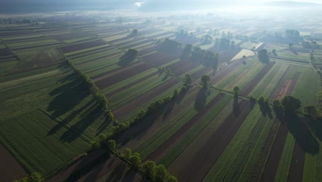 Amanecer-En-La-Mañana-Brumosa-Abrazando-Parcelas-Agrícolas-Geométricas-Con-Cultivos-Variados-En-Todo-El-Campo.