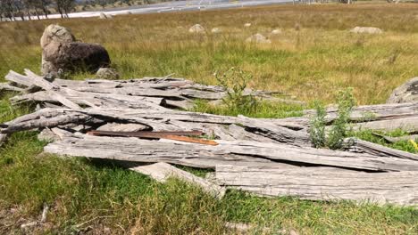 static scene of old logs in a natural setting