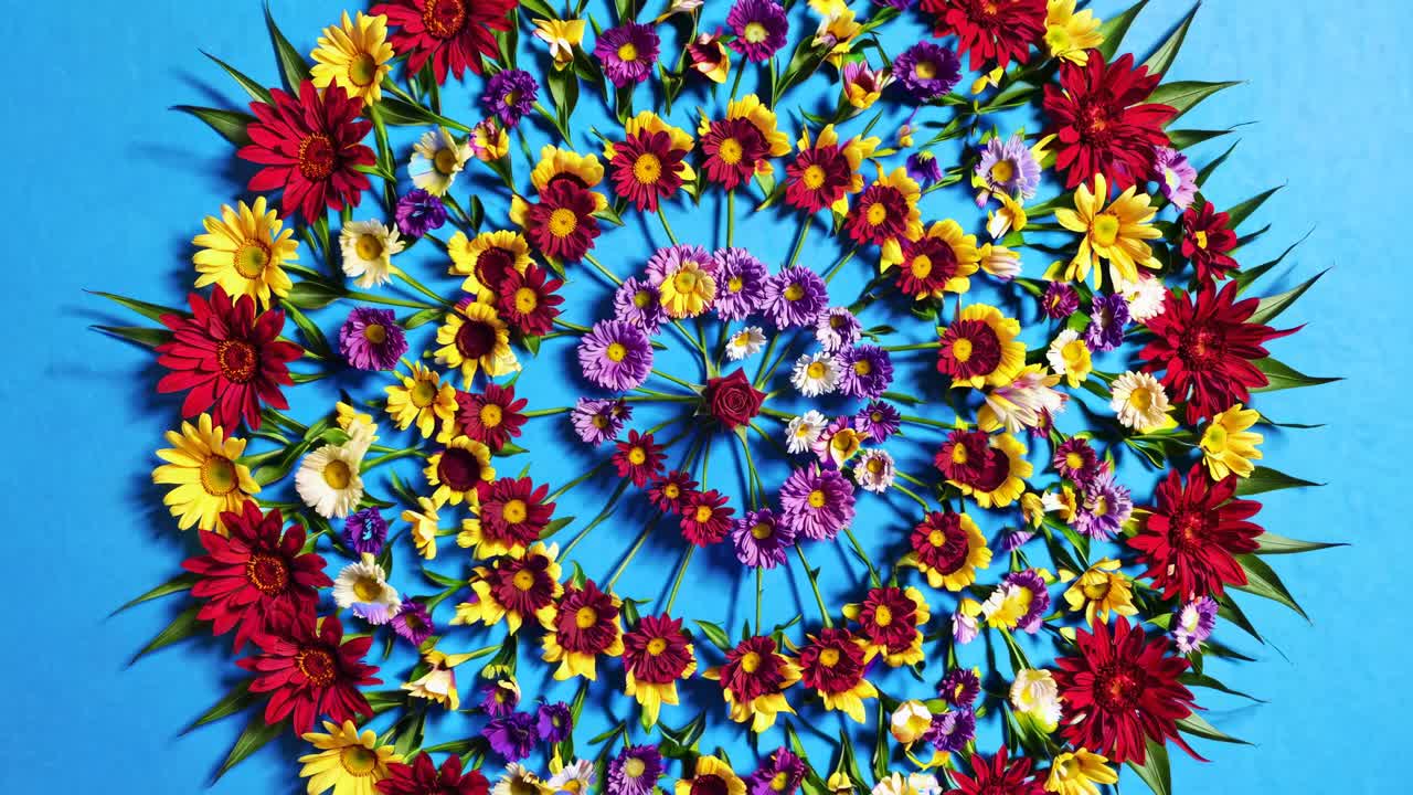 Vibrant floral mandala on blue background, captured from a top-down angle