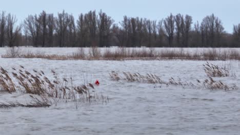 High-levels-of-flood-waters-in-Dutch-countryside-after-flooding-from-river-Waal