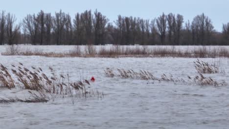 high levels of flood waters in dutch countryside after flooding from river waal