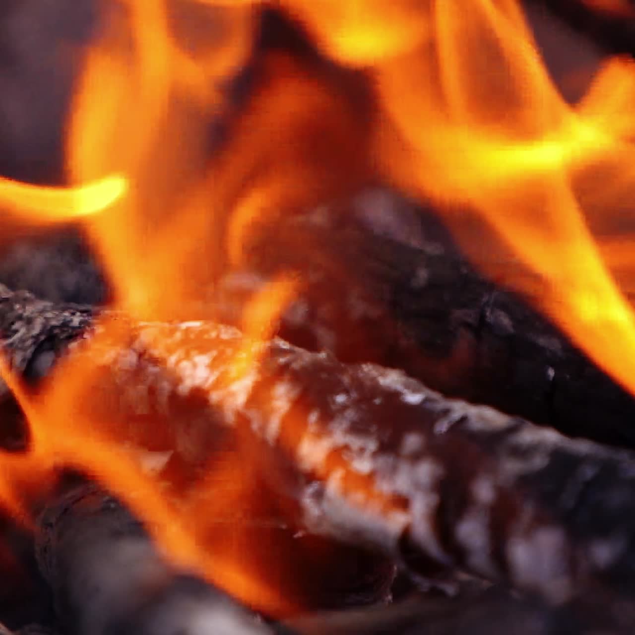 Motion of fire. Orange twisting tongues of fire. Wooden logs in flame. Smoldering logs in bright fire for barbeque. Wood on fire background. Macro shot. Slow motion.