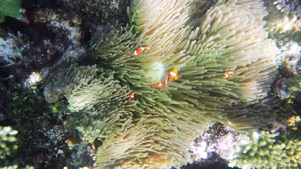 ⁇ 터를 대가로 깨 ⁇ 하게 유지하는 것