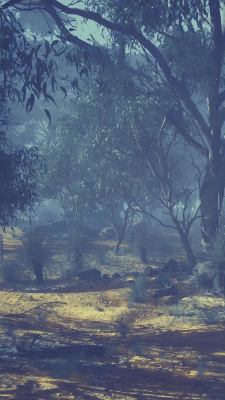 Misteriosa scena forestale con luce soffusa che filtra tra gli alberi