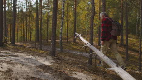 fisherman is walking to angling at morning moving through forest carrying backpack and fishing rod