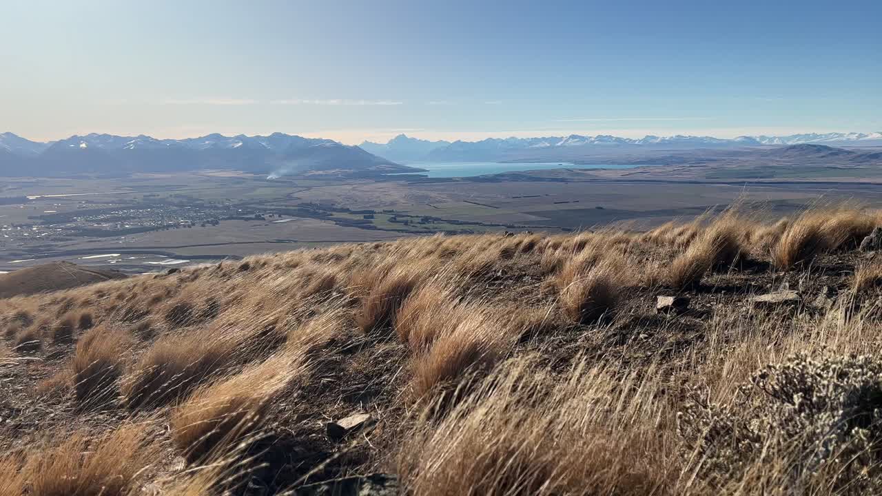 Vento Forte che Soffia Arbusti di Tussock Marroni nella Canterbury Rurale e Montana, Nuova Zelanda
