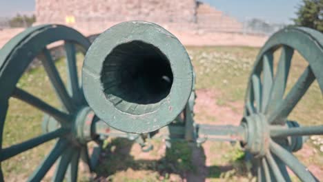 cannon in focus