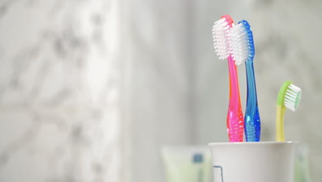 putting childrens toothbrush into the cup