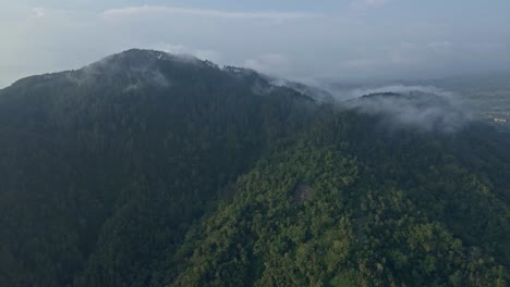 Drone-camera-of-forest-and-hill