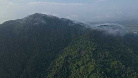 drone camera of forest and hill