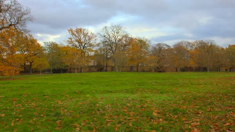 pan shot greenwich park during fall season in london, uk on a cloudy day