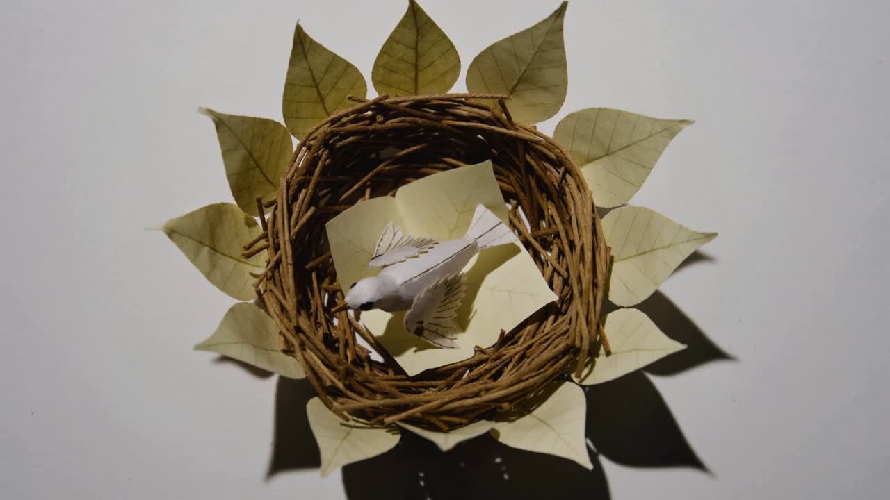 Un'ombra spinge un uccello di carta volante che atterra e si posa in un nido di ramoscelli su carta piegata, con foglie che si ripiegano