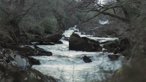 rapid fast moving water flowing down river afon lledr, wales, snowdonia, uk pan up