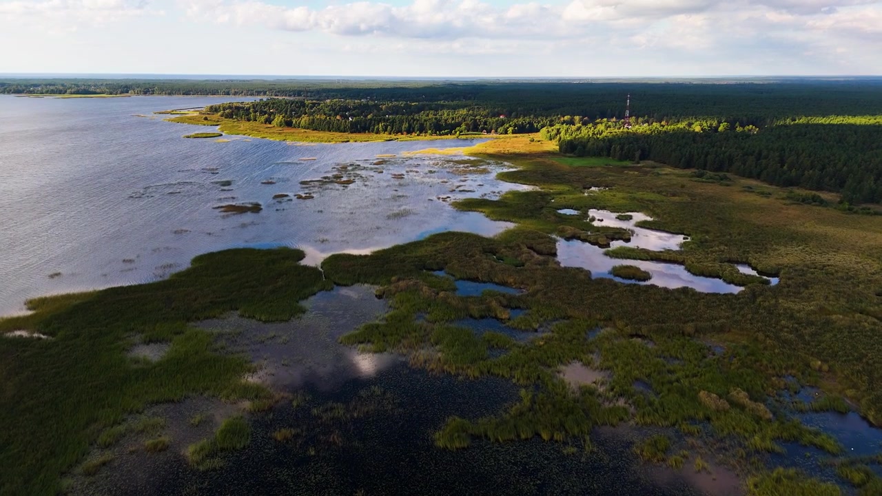 Ripresa con drone del lago Ķīšezers con rigogliose paludi, acque calme e foresta.