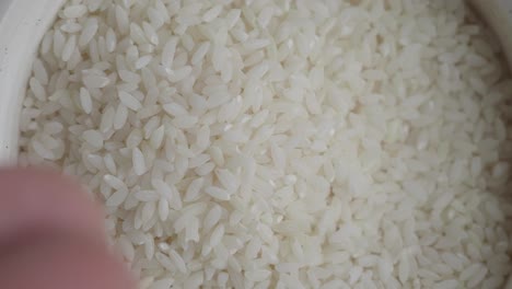 white rice in a bowl