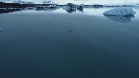 Verschneite-Eisberge-Im-Meerwasser