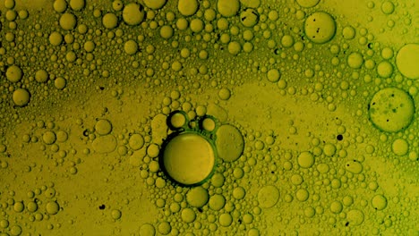 movimiento de estructura de burbujas de aceite de colores en líquido