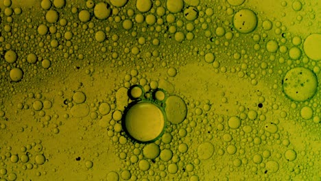 structure movement of colorful oil bubbles in liquid